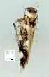  ( - gvc12309-1L)  @12 [ ] Copyright (2004) Unspecified Unspecified