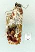  ( - gvc12492-1L)  @12 [ ] Copyright (2004) Unspecified Unspecified