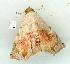  ( - gvc12508-1L)  @13 [ ] Copyright (2004) Unspecified Unspecified