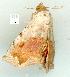  ( - gvc12509-1L)  @13 [ ] Copyright (2004) Unspecified Unspecified