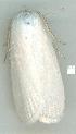  ( - gvc12766-1L)  @11 [ ] Copyright (2004) Unspecified Unspecified