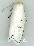  ( - gvc12767-1L)  @11 [ ] Copyright (2004) Unspecified Unspecified