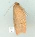  ( - gvc12835-1L)  @12 [ ] Copyright (2004) Unspecified Unspecified