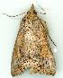  ( - gvc12919-1L)  @12 [ ] Copyright (2004) Unspecified Unspecified