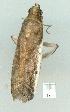  ( - gvc13367-1L)  @12 [ ] Copyright (2004) Unspecified Unspecified