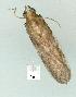 ( - gvc13368-1L)  @12 [ ] Copyright (2004) Unspecified Unspecified