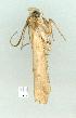  ( - gvc13505-1L)  @12 [ ] Copyright (2004) Unspecified Unspecified