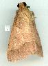  ( - gvc13587-1L)  @12 [ ] Copyright (2004) Unspecified Unspecified