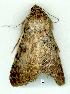  ( - gvc13636-1L)  @13 [ ] Copyright (2004) Unspecified Unspecified