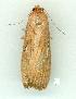 ( - gvc13701-1L)  @12 [ ] Copyright (2004) Unspecified Unspecified