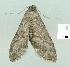  ( - gvc13808-1L)  @13 [ ] Copyright (2004) Unspecified Unspecified