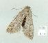  ( - gvc13834-1L)  @13 [ ] Copyright (2004) Unspecified Unspecified