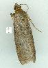  ( - gvc14219-1L)  @12 [ ] Copyright (2004) Unspecified Research Collection of Graeme Cocks