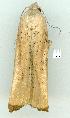  ( - gvc14456-1L)  @12 [ ] Copyright (2004) Unspecified Research Collection of Graeme Cocks