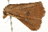  ( - gvc5823-1L)  @12 [ ] CreativeCommons - Attribution (2004) Unspecified Centre for Biodiversity Genomics