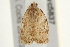  ( - gvc5837-1L)  @12 [ ] CreativeCommons - Attribution (2004) Unspecified Centre for Biodiversity Genomics