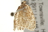  ( - gvc5838-1L)  @12 [ ] CreativeCommons - Attribution (2004) Unspecified Centre for Biodiversity Genomics