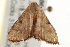  ( - gvc5886-1L)  @13 [ ] CreativeCommons - Attribution (2004) Unspecified Centre for Biodiversity Genomics