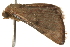  ( - gvc6091-1L)  @13 [ ] CreativeCommons - Attribution (2004) Unspecified Centre for Biodiversity Genomics