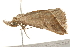  ( - gvc5517a)  @12 [ ] CreativeCommons - Attribution (2004) Unspecified Centre for Biodiversity Genomics