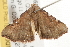  ( - gvc5549-1L)  @13 [ ] CreativeCommons - Attribution (2004) Unspecified Centre for Biodiversity Genomics