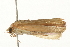  ( - gvc5918-1L)  @11 [ ] CreativeCommons - Attribution (2004) Unspecified Centre for Biodiversity Genomics