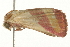  ( - gvc6029-1L)  @12 [ ] CreativeCommons - Attribution (2004) Unspecified Centre for Biodiversity Genomics
