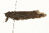  ( - gvc6608)  @12 [ ] CreativeCommons - Attribution (2004) Unspecified Centre for Biodiversity Genomics