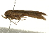  ( - gvc7618)  @12 [ ] CreativeCommons - Attribution (2004) Unspecified Centre for Biodiversity Genomics