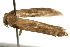  ( - gvc7969)  @12 [ ] CreativeCommons - Attribution (2004) Unspecified Centre for Biodiversity Genomics