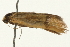  ( - gvc8066)  @12 [ ] CreativeCommons - Attribution (2004) Unspecified Centre for Biodiversity Genomics