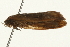  ( - gvc8070)  @12 [ ] CreativeCommons - Attribution (2004) Unspecified Centre for Biodiversity Genomics