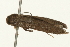  ( - gvc8188)  @12 [ ] CreativeCommons - Attribution (2004) Unspecified Centre for Biodiversity Genomics