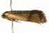  ( - gvc5629-1L)  @12 [ ] CreativeCommons - Attribution (2010) Unspecified Centre for Biodiversity Genomics