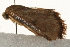  ( - gvc6022-1L)  @13 [ ] CreativeCommons - Attribution (2010) Unspecified Centre for Biodiversity Genomics