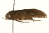  ( - gvc7967)  @13 [ ] CreativeCommons - Attribution (2010) Unspecified Centre for Biodiversity Genomics