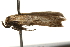  ( - gvc8045)  @12 [ ] CreativeCommons - Attribution (2010) Unspecified Centre for Biodiversity Genomics