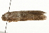  ( - gvc8112)  @12 [ ] CreativeCommons - Attribution (2010) Unspecified Centre for Biodiversity Genomics