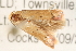  ( - gvc1889-1L)  @13 [ ] CreativeCommons - Attribution (2010) Unspecified Centre for Biodiversity Genomics