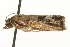  ( - gvc6328-1L)  @13 [ ] CreativeCommons - Attribution (2010) Unspecified Centre for Biodiversity Genomics