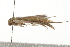 ( - gvc6353-1L)  @12 [ ] CreativeCommons - Attribution (2010) Unspecified Centre for Biodiversity Genomics