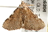  ( - gvc6304-1L)  @13 [ ] CreativeCommons - Attribution (2010) Unspecified Centre for Biodiversity Genomics
