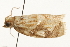  ( - gvc6504)  @12 [ ] CreativeCommons - Attribution (2010) Unspecified Centre for Biodiversity Genomics