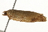  ( - gvc7725)  @12 [ ] CreativeCommons - Attribution (2010) Unspecified Centre for Biodiversity Genomics