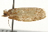  ( - gvc7728)  @12 [ ] CreativeCommons - Attribution (2010) Unspecified Centre for Biodiversity Genomics