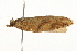  ( - gvc7877)  @12 [ ] CreativeCommons - Attribution (2010) Unspecified Centre for Biodiversity Genomics