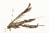  ( - gvc7935)  @12 [ ] CreativeCommons - Attribution (2010) Unspecified Centre for Biodiversity Genomics