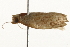  ( - gvc7951)  @12 [ ] CreativeCommons - Attribution (2010) Unspecified Centre for Biodiversity Genomics
