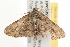  ( - gvc6399)  @12 [ ] CreativeCommons - Attribution (2010) Unspecified Centre for Biodiversity Genomics