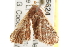  ( - gvc6624)  @13 [ ] CreativeCommons - Attribution (2010) Unspecified Centre for Biodiversity Genomics